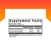 Seeking Health Iron Chewable, with Vitamin C, Supports Healthy Blood and Muscle Development, Vegan and Vegetarian (60 Tablets) - 2 of 4