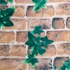 Slickblue Virginia Creeper Peel and Stick Wallpaper - 17.7'' x 394'', 2 Nature-Inspired Design Options, Self-Adhesive - 3 of 3