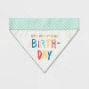 Reversible Birthday/Adoption Day Dog Bandana Collar Slide - Boots & Barkley™ - image 2 of 4