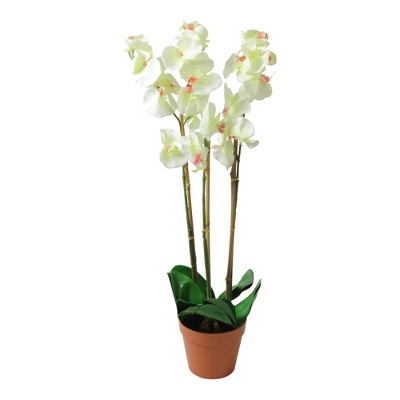 Northlight 30.5" Phalaenopsis Orchid Silk Flower Artificial Potted Plant - White/Green