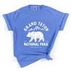 Simply Sage Market Vintage Grand Teton National Park Garment Dyed Tee - 2 of 4