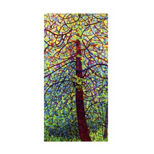 Trademark Fine Art -Mandy Budan 'Kaleidoscope' Canvas Art - 1 of 4