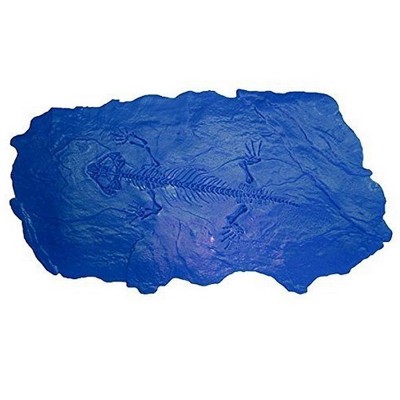 Bon Tool 32-684 Fossil Stamp--Protocolphon