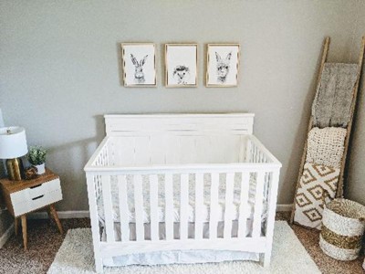 Delta sales fancy crib