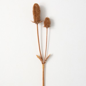 38"H Sullivans Natural Brown Thistle Spray, Brown - 1 of 2