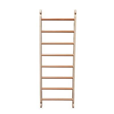 Little Partners Climbing Ladder