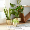 Set of 3 Metal Planters Gold - Olivia & May: Indoor/Outdoor, No Drainage - 2 of 3