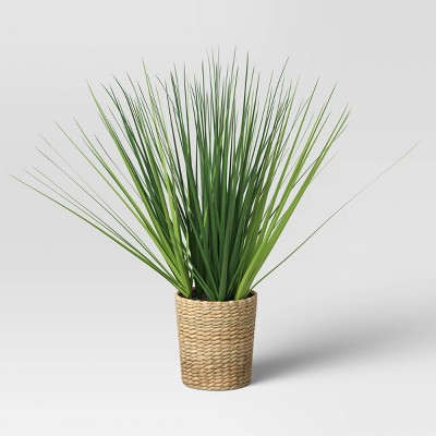 Small Potted Grass in Basket - Threshold™