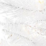 warm white