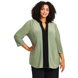 Avenue Women's Plus Size Audrey Colorblock Tunic - 1 of 4