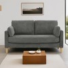 Modern Minimalist 2-Seater Sofa - Leovsnove - 2 of 4
