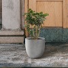 Rosemead Home & Garden Concrete Outdoor Planter Pot Cement Gray 13.39"x13.39"x12.6" - 2 of 4