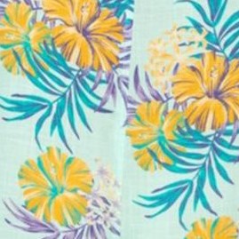 green-hibiscussummer