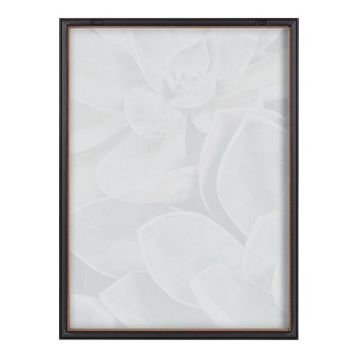 Blake Botanical Succulent Plants Framed Glass Wall Art, 18" x 24"