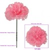 Floral Home 5" Pick Long Pink Carnation Pick - 100-Piece - 2 of 4