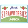 Farmlyn Creek 5 Pack Fruit Crate Label Wall Signs, Metal Kitchen Decor, 5 Designs (11.8 x 7.8 in) - 2 of 4