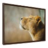 Kate & Laurel All Things Decor 23"x33" Sylvie Basking Framed Canvas by Alicia Abla Brown : Transitional Style, Plastic Frame - image 2 of 4