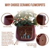SpassWay 14" Dia Outdoor Indoor Ceramic Planter Pot Decorative Planter with Drainage Hole Patio Flower Pot - 4 of 4