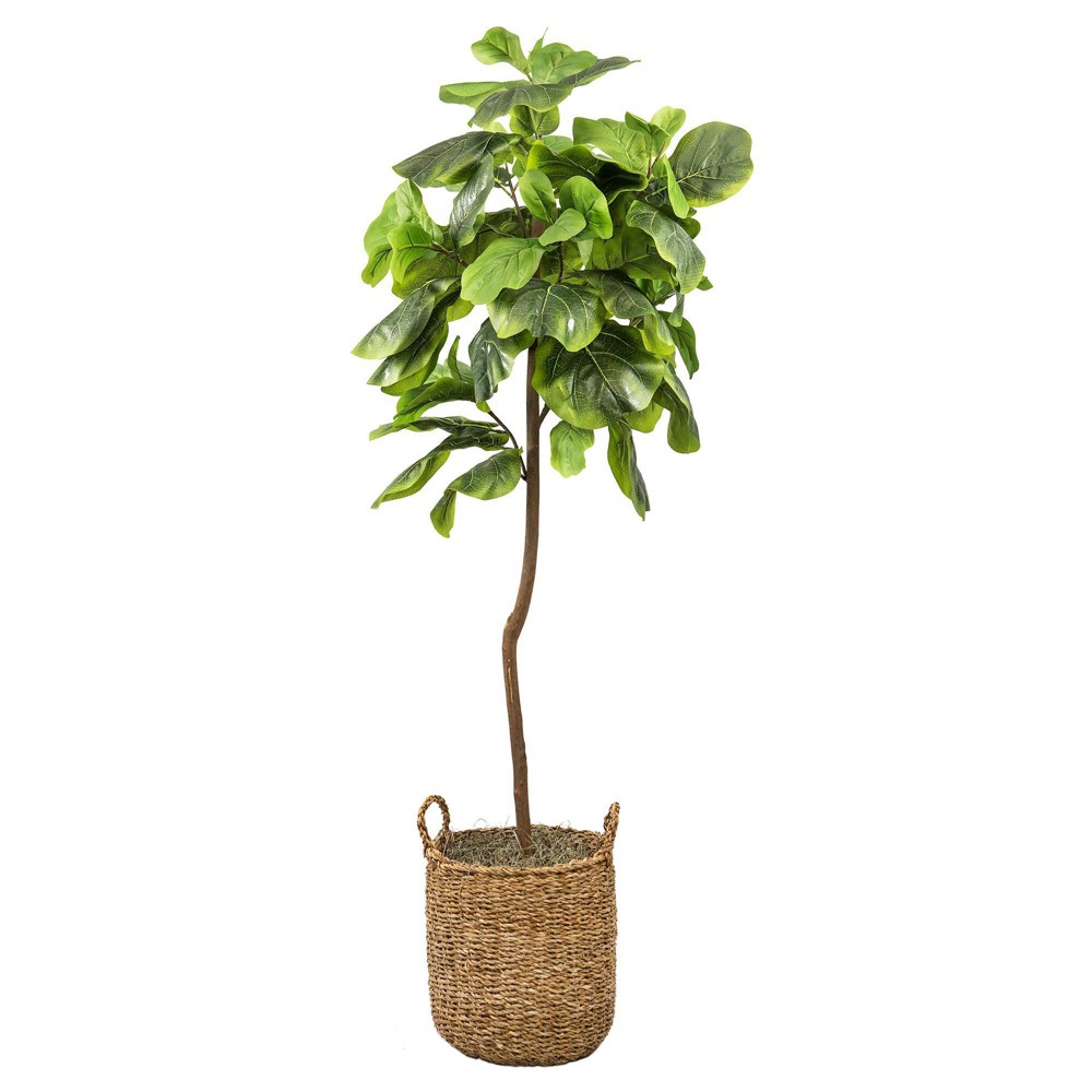 Photos - Other interior and decor 5' Artificial Fig Tree in Natural Basket - LCG Florals