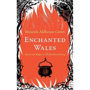 Enchanted Wales - by  Miranda Aldhouse-Green (Hardcover) - 1 of 1