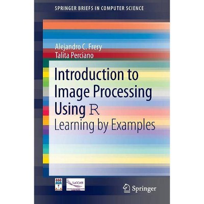 Introduction to Image Processing Using R - (Springerbriefs in Computer Science) by  Alejandro C Frery & Talita Perciano (Paperback)