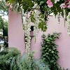 Floral Home 69" White Wisteria Spray - 12-Piece - 4 of 4