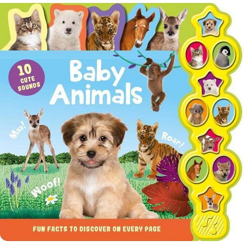 Baby Animals By Igloo Books Board Book Target