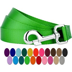 Country Brook Petz Nylon Dog Leash (3/8 Inch Wide) - 1 of 4