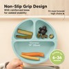 3-Pack Prep Suction Plates for Baby, 100% Silicone Toddler Plates, BPA-Free Divided Baby Plates with Suction - 4 of 4