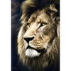Trefl Lions Portrait Jigsaw Puzzle - 1500pc - 3 of 3