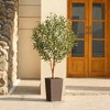 DR.Planzen 72" Artificial Olive Tree with Real Wood Branches - 6FT UV Resistant Indoor/Outdoor Fake Plant in 15.7" Planter (B/W/Coffee) - 2 of 4