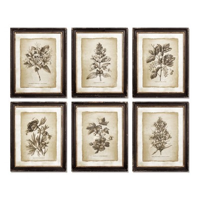 Plum & Post Framed Vintage Floral Prints Set of 6