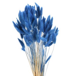 Unique Bargains Decorative Natural Dried Floral Bunny Tail Artificial Plants 120 Pcs - 1 of 4