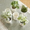 Plum & Post Mirabelle Mini Cachepots Set Of 6 - 4 of 4