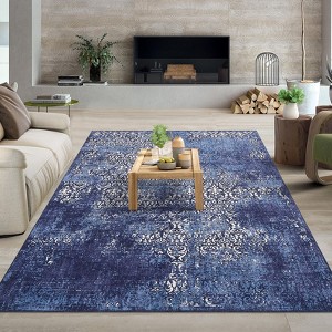 Area Rugs for Living Room, Paisley Distressed Rug, Anti-Slip Stain-Resistant Soft Accent Carpet - 1 of 4