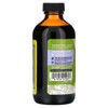 Zand Immunity, Insure Herbal, 8 fl oz (237 ml) - 3 of 4