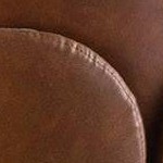 Black/Camel