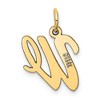 Black Bow Jewelry 14k Yellow Gold, Madison Collection, Medium Script Initial Pendant A-W - 3 of 4