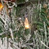 Kurt Adler 9-Foot Pre-Lit Clear Incandescent Flocked Garland - 3 of 4