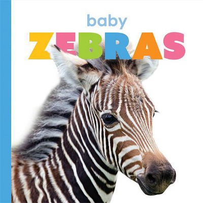 Baby Zebras - (Starting Out) by  Kate Riggs (Paperback)