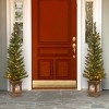 2ct 4' Prelit Lehigh Valley Pine Artificial Christmas Entrance Trees Clear Lights - National Tree Company - 2 of 4