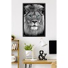 Trends International Reinders: Animals - Blue Eyed Lion Framed Wall Poster Prints - 2 of 4