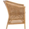 Jessica Rattan Accent Chair W/ Cushion - ACH6519A - White/Honey Brown Wash - Safavieh - 3 of 4