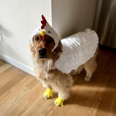 Chicken costumes for dogs best sale