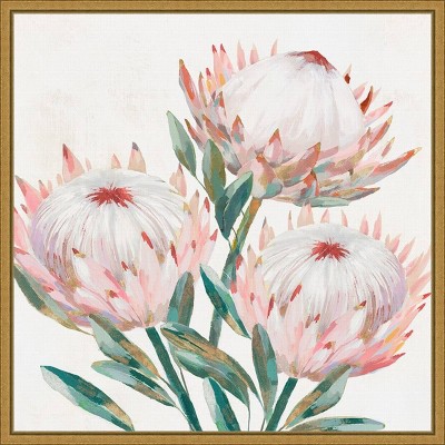 16" x 16" King Protea II by Isabelle Z Framed Canvas Wall Art - Amanti Art