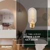 Bulbrite Set of 4 40W T14 Incandescent Dimmable Light Bulbs E26 2200K: Edison Style, Decorative, 2-Year Life, 135 Lumens - image 3 of 4