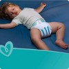 Pampers Baby Dry Diapers Super Pack Size 3 - 104ct : Target