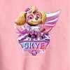 Boys' - Paw Patrol - Skye Lightning Graphic Long Sleeve Fleece Sweatshirt - 2 of 3