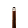Design Toscano The Padrone Collection: Heraldic Lion Pewter Walking Stick - 3 of 4