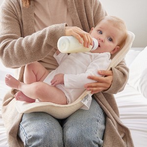 Alpremio Mesh & Organic Baby Feeding Care Seat - 1 of 4
